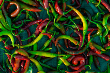 Green chilli peppers in Indian market