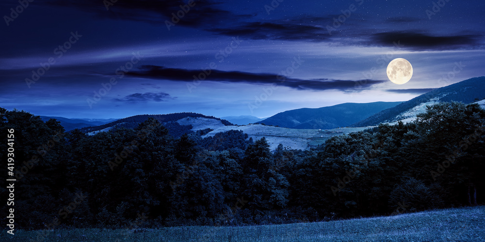 Wall mural summer landscape of carpathian mountains at night. beautiful scenery in full moon light. beech fores