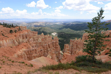 Landscape view of the hoodoo formations at Bryce Canyon National Park