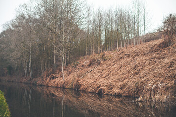 Reflections on the Canal