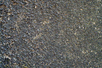 Vintage background, Dirt wall background texture of rough cement wall with moss stain.