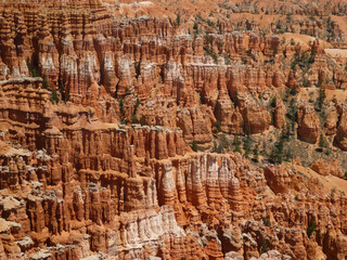 Landscape view of the red sandstone hoodoos at Bryce Canyon National Park