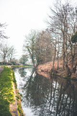 Fototapeta na wymiar Reflections of trees on the Canal