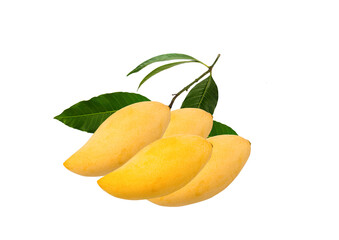 pile of fresh mango on white background