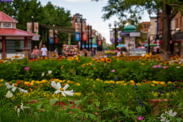 Pearl Street Mall_Boulder Colorado