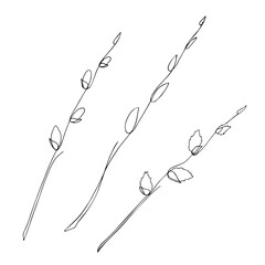 A set of willow twigs drawn with one line. Vector illustration in lineart style. Spring season. Hand drawn © Екатерина Иванова