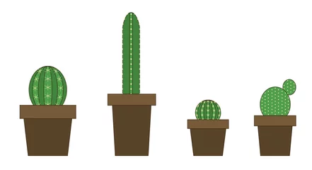 Fotobehang Cactus in pot Cactus