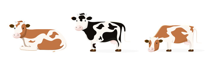 A set of cows with brown and black spots. The cow is standing, lying down. Farm Animals