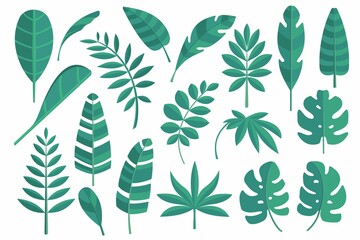 Vector set of isolated tropical leaves, leaf of palm tree on the white background. Flat design.