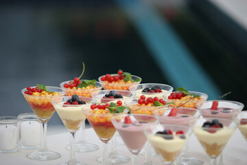 Different types of finger food for appetizer.