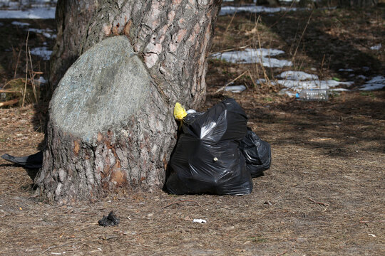 rubbish under a tree left by people in nature