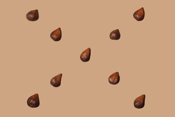 Obraz premium Salak fruit is the original fruit from Indonesia. This fruit, which is also known as the snake fruit, has many benefits for the body, such as increasing endurance, brightening the skin.