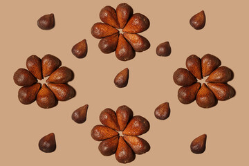 Bark fruit creations are like flowers that bloom in a garden. Salak (Salacca zalacca) or snake fruit is a species of palm tree native to Java and Sumatra in Indonesia, has a fresh and sweet taste.