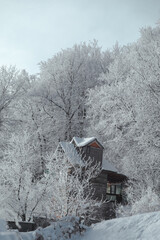 landscape snowy streets