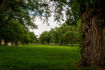 College Campus_Fort Collins Colorado