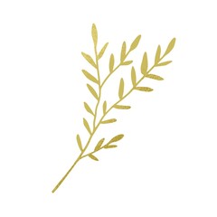 Beautiful branch with green leaves isolated on white background. Textured foliage plant. Botanical element. Hand-drawn colored flat vector illustration of greenery