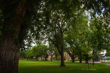 College Campus_Fort Collins Colorado