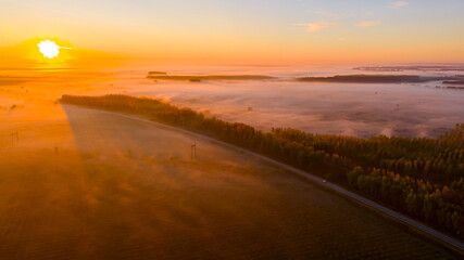 Aerial view early morning mist floating over ground vegetation and traffic among forest trees