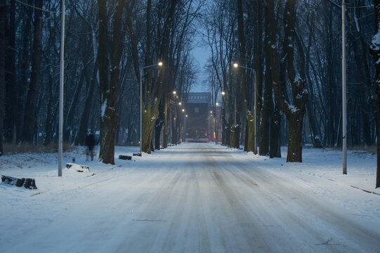 Landscape of winter evening road, among the trees