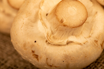 Fresh young mushrooms on the table . Close-up selective focus.