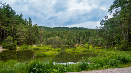 Fototapeta na wymiar lake in the forest Möserer See Austria
