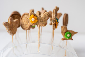 healthy alternative to lolly pops, cookie, bisquit on a stick 