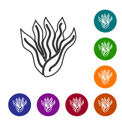 Black line Seaweed icon isolated on white background. Underwater seaweed spirulina, aquatic marine algae plant. Vegan and vegetarian food. Set icons in color circle buttons. Vector..