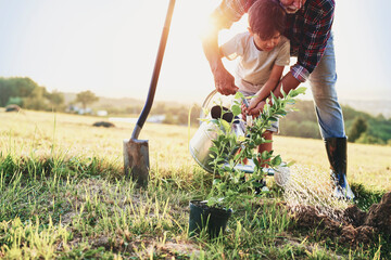 Grandfather and grandson planting a tree