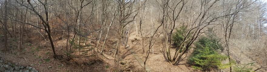 Fototapeta na wymiar mountain of daejeon, korea