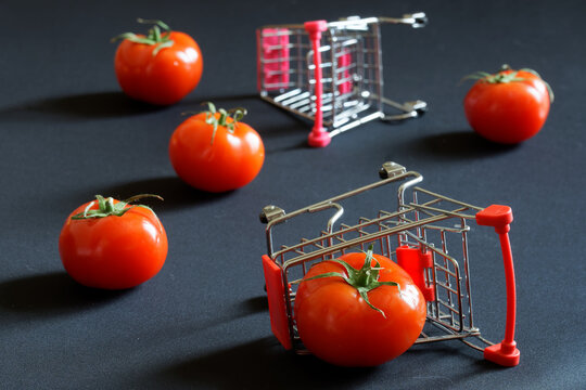 Red tomatoes and supermarket carts are scattered across the dark surface. Concept of trade problems, agricultural discontent, strikes and anti-globalization