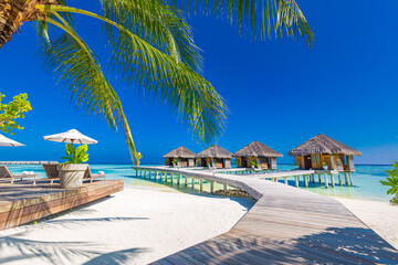 Fototapeta na wymiar Luxury hotel with water villas and palm tree leaves over white sand, close to blue sea, seascape. Beach chairs, beds with white umbrellas. Summer vacation and holiday, beach resort on tropical island