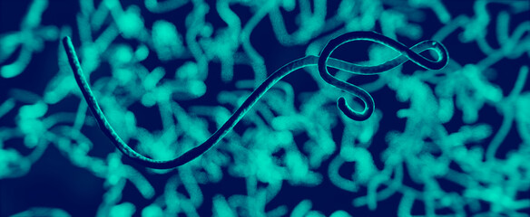3D Visualisierung Ebola Virus oder Parasit unter dem Mikroskop - obrazy, fototapety, plakaty