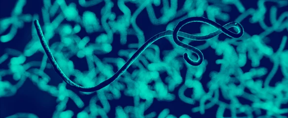 Fotobehang 3D Visualisierung Ebola Virus oder Parasit unter dem Mikroskop © Steffen Kögler