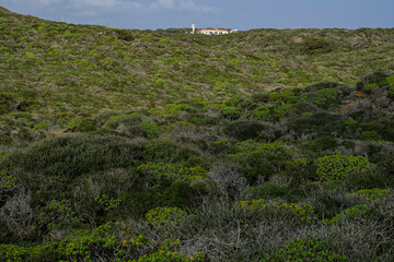 s'Albufera des Grau Natural Park, Menorca, Balearic Islands, Spain