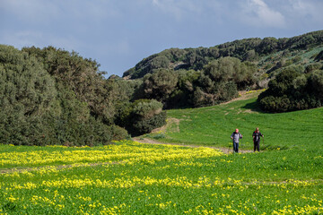 Naklejka premium hiker walking the horse path, - Cami de Cavalls-,s'Albufera des Grau Natural Park, Menorca, Balearic Islands, Spain