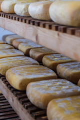 shelves with cheese, Es Tudons cheesemaking, Ciutadella, Menorca, Balearic Islands, Spain