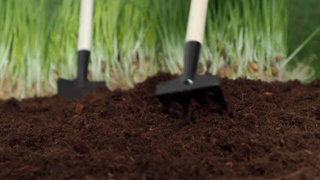 rake and shovel on the ground, agriculture