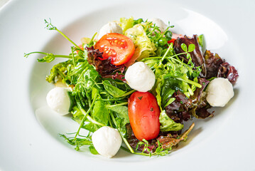 fresh salad with mozzarella and vegetables