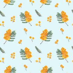 Obraz premium Pattern of mimosa flowers and leaves on a blue watercolor background