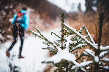 Winterwanderung im Wald
