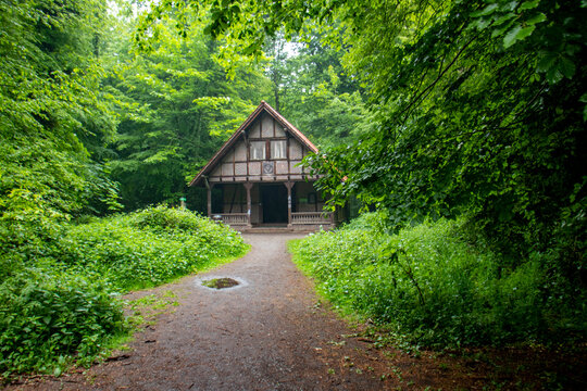 Neuenburger Urwald - Zetel - 1