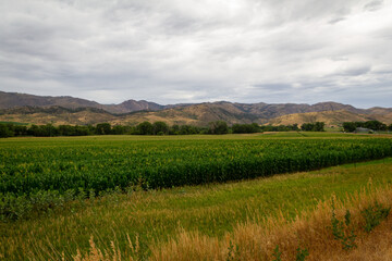 Farm_Fort Collins Colorado