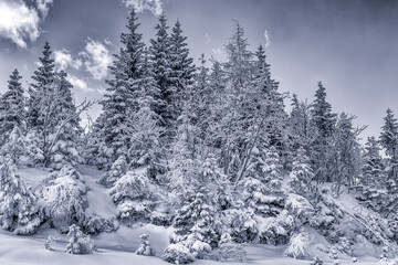 Mostviertel in winter