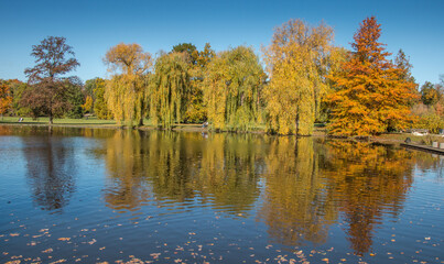 Fototapeta na wymiar autumn trees reflected in water / Stromovka, Prague, Czech Republic