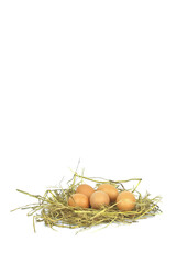 Eggs on a straw on a white background