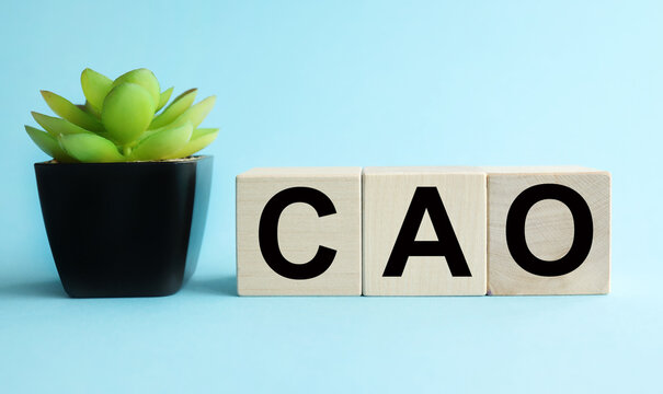 CAO Chief Accounting Officer. Vacancy and duties of a specialist. Manage taxes and payroll. Develop and upgrade finance systems in business. financial executives,