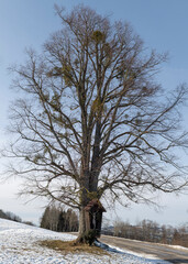 Mostviertel in winter