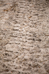 sandy road with tire tracks, vertical format.