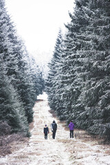 Familie wandert in Winterlandschaft im Thüringer Wald bei Oberhof