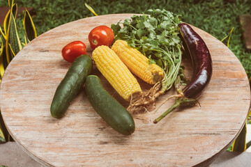 Vegetables on table, cucmber, tomato, cilantro, eggplant